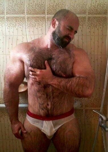 Hairy muscle bear