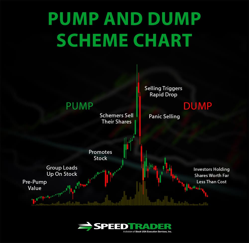 Crypto report pump and dumps what is a crypto nation
