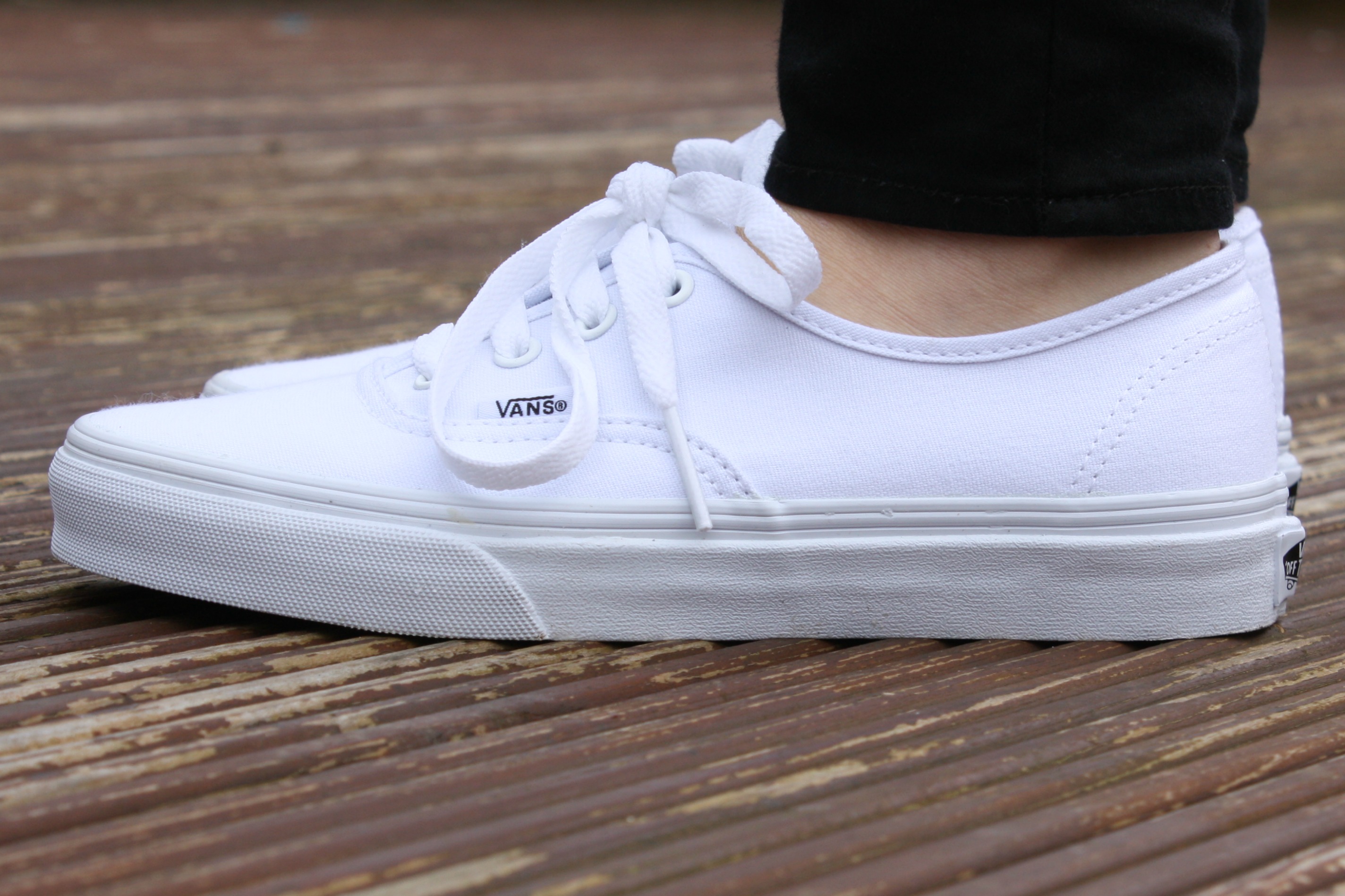 rotation Endless web vans authentic all 