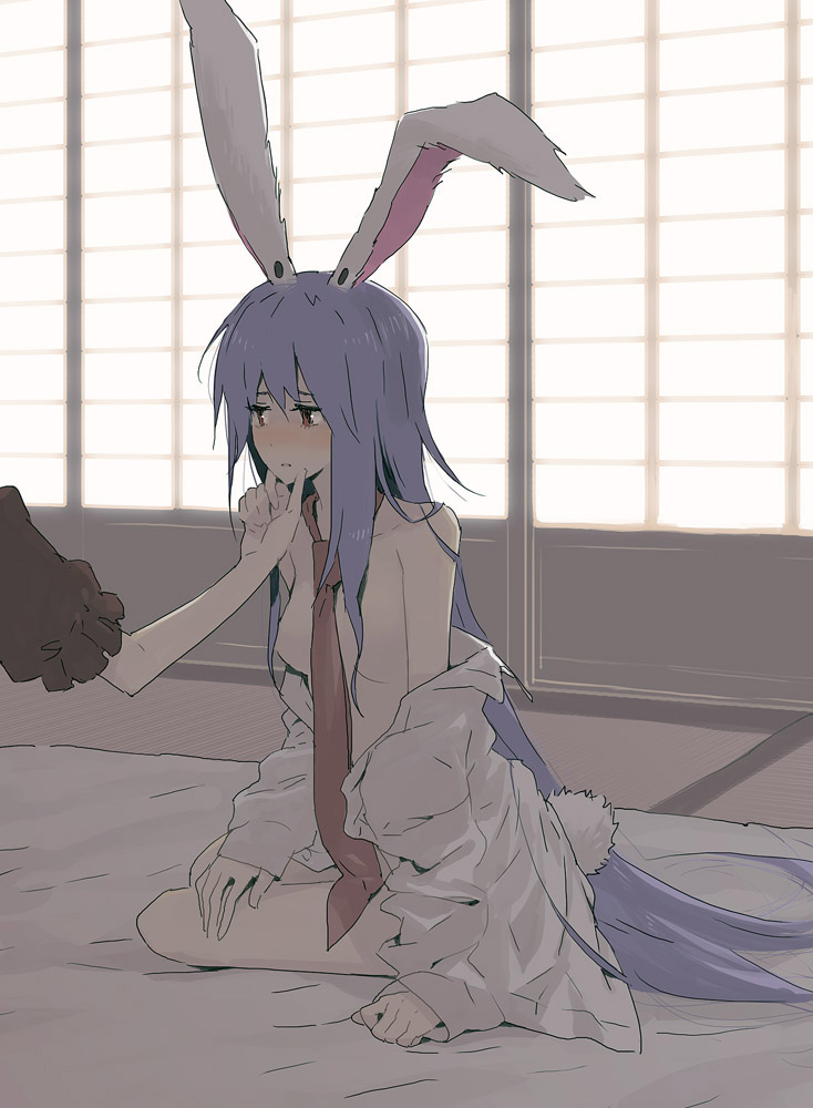 Reisen is pretty much perfect for every purpose. 