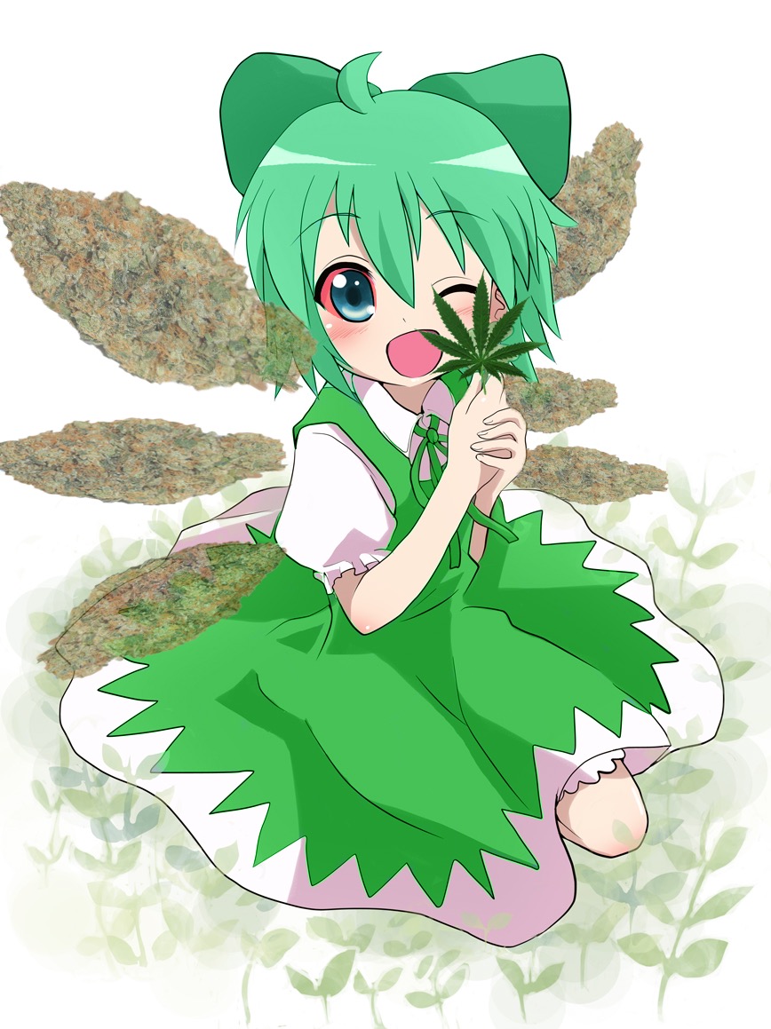 would you smoke a weed fairy? 