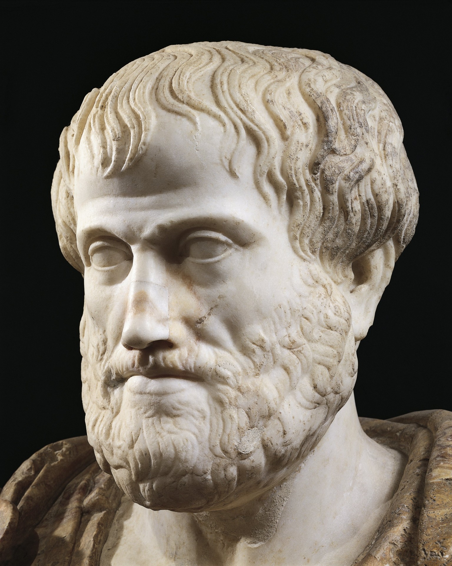 Аристотель ученый древней Греции